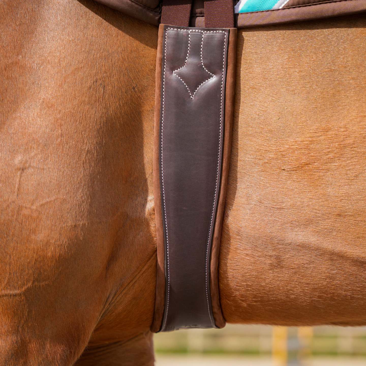 Size 48 Light store Brown Leather Horseback Riding Girth. Good Condition.